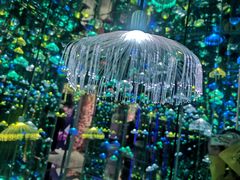 -杭州西湖星空魔幻城(星空艺术馆品牌旗舰店)