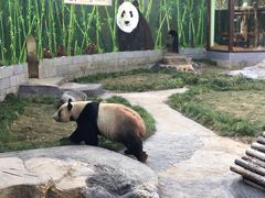 -南昌动物园