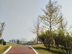 -府河摄影公园