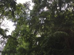 -苏州河梦清园环保主题公园