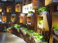 自助取餐区-番食园鲜食火锅(高新店)