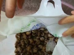 -渔人码头(洛溪店)