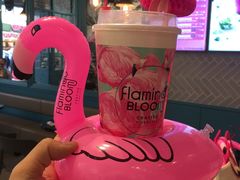-Flamingo Bloom(TST /尖沙咀店)