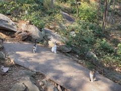 -崂山仰口游览区