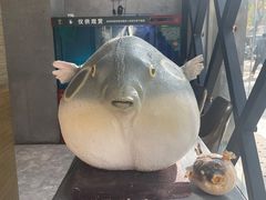 -肆月河豚·新淮扬(金融街店)