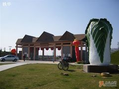 -上海都市菜园