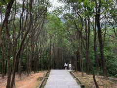 -火炉山森林公园