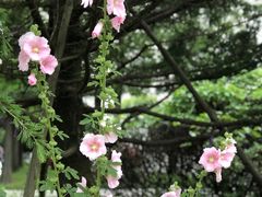 -青岛银沙滩温德姆至尊酒店