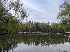 -青城公园