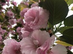 -白塘生态植物园