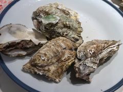 -杨氏青龙虾·羊蝎子(托乐嘉店)