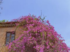 -烟台山景区