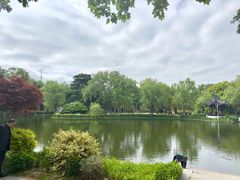 -泰州凤城河风景区-泰山公园