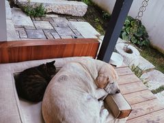 -PAUSE CAFE(南秀村店)