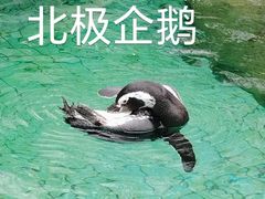 -上海野生动物园