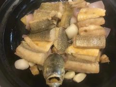 -骏莱海鲜鱼港(五角场店)