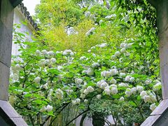 -惠山古镇·寄畅园