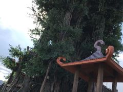 -云漫湖生态度假公园