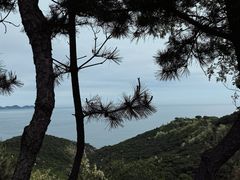 -大连金石滩滨海国家地质公园