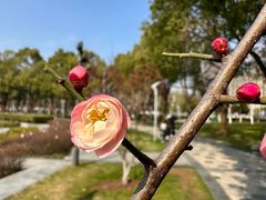 -天鹅湖体育公园