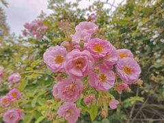 -人民公园(罗湖区)