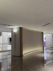 -广州美莱医疗美容医院