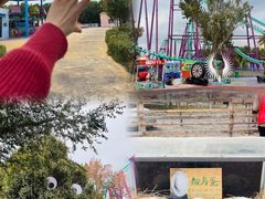 -水上乐园·欢乐世界