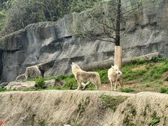 -杭州野生动物世界