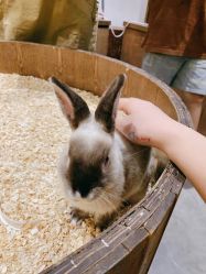 -Zoolung Zoolung动物主题公园(海信广场店)