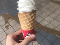 -蜜雪冰城·冰淇淋与茶(福大店)