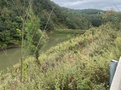 -重庆彩云湖湿地公园