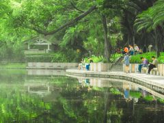 -晓港公园