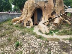 -临沂动植物园