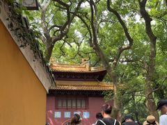-普陀山风景名胜区-法雨禅寺