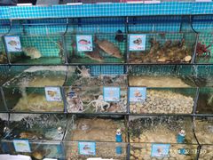 -范饭椰林川湘味海鲜·椰子鸡(三亚湾椰梦长廊店)