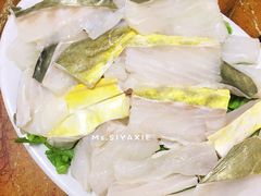 -金砂阿洲鱼册店