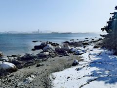 -养马岛旅游度假区