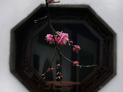 -八大山人梅湖景区