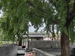 -自如ZSPACE四合院艺术餐厅
