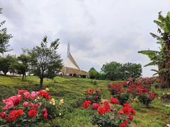 -都江堰玫瑰花溪谷