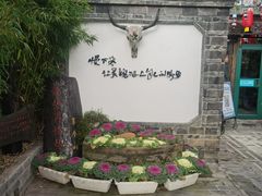 -慢丽江·云南野生菌土鸡锅(付家庄店)