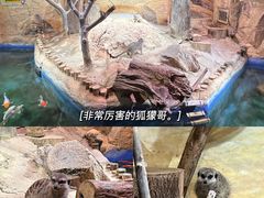 -正佳雨林生态植物园