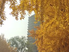 -玲珑塔公园
