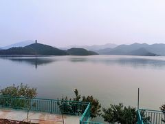 -望湖烤鱼