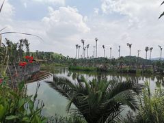 -枫香湖儿童公园