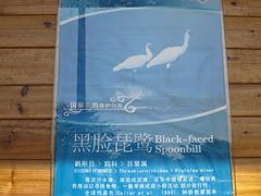 -大湾区中央湿地公园