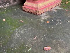 -曼丢傣家古寨