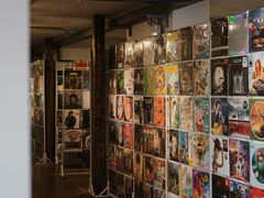 -树懒黑胶唱片店(中山路店)