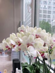 -变画·发型STUDIO