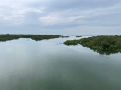 -北海金海湾红树林生态旅游区